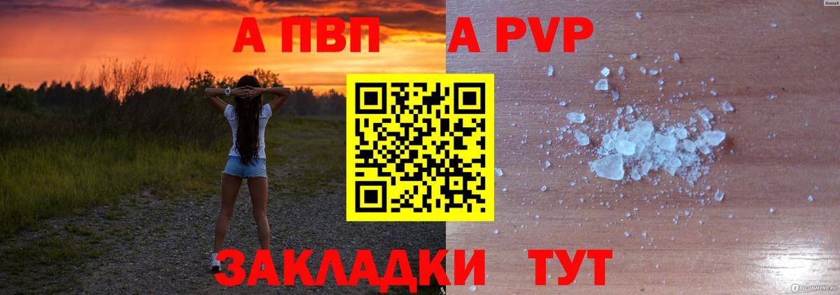 A PVP СК Новошахтинск