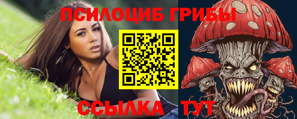 цены   Вход с VPN  Галлюциногенные грибы прущие грибы  Новошахтинск  Псилоцибиновые грибы Magic Shrooms 