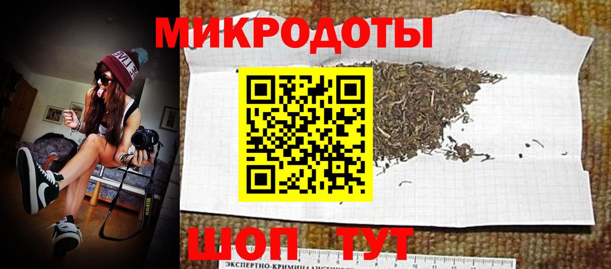 Галлюциногенные грибы Psilocybe Новошахтинск
